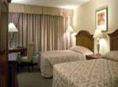 Renovated Courtyard Rooms